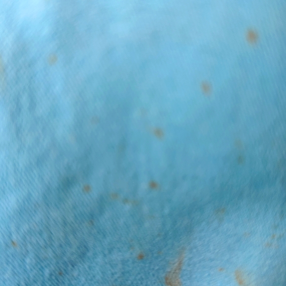 Crown and Ivy Women's Shelby Shorts Scalloped edge. Turquoise color. Size 12 - Picture 7 of 7